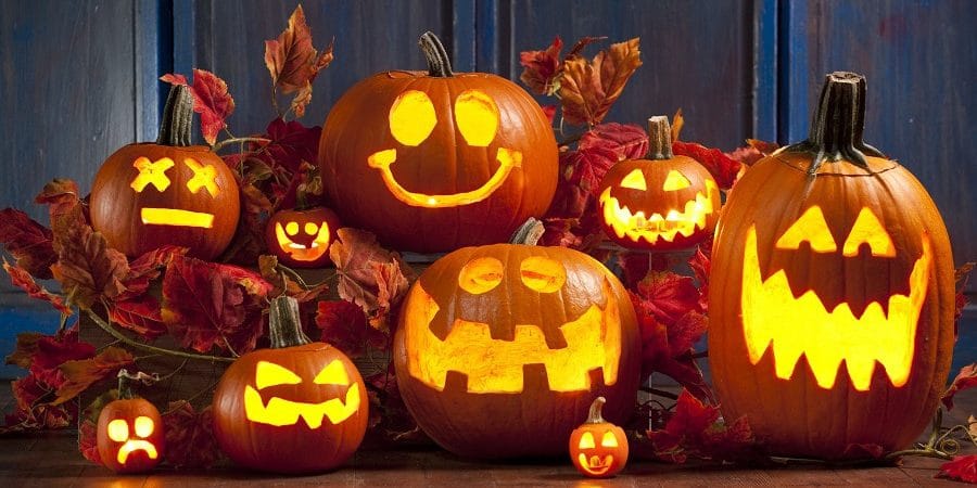 fall activities for seniors