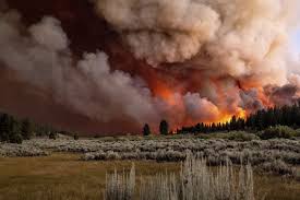 poor air quality effects on seniors poor air quality effects on seniors
